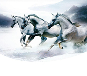 省内排行前十，设计、施工实力排前